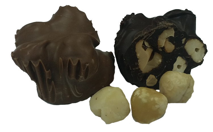 Hazelnut Cluster Cut